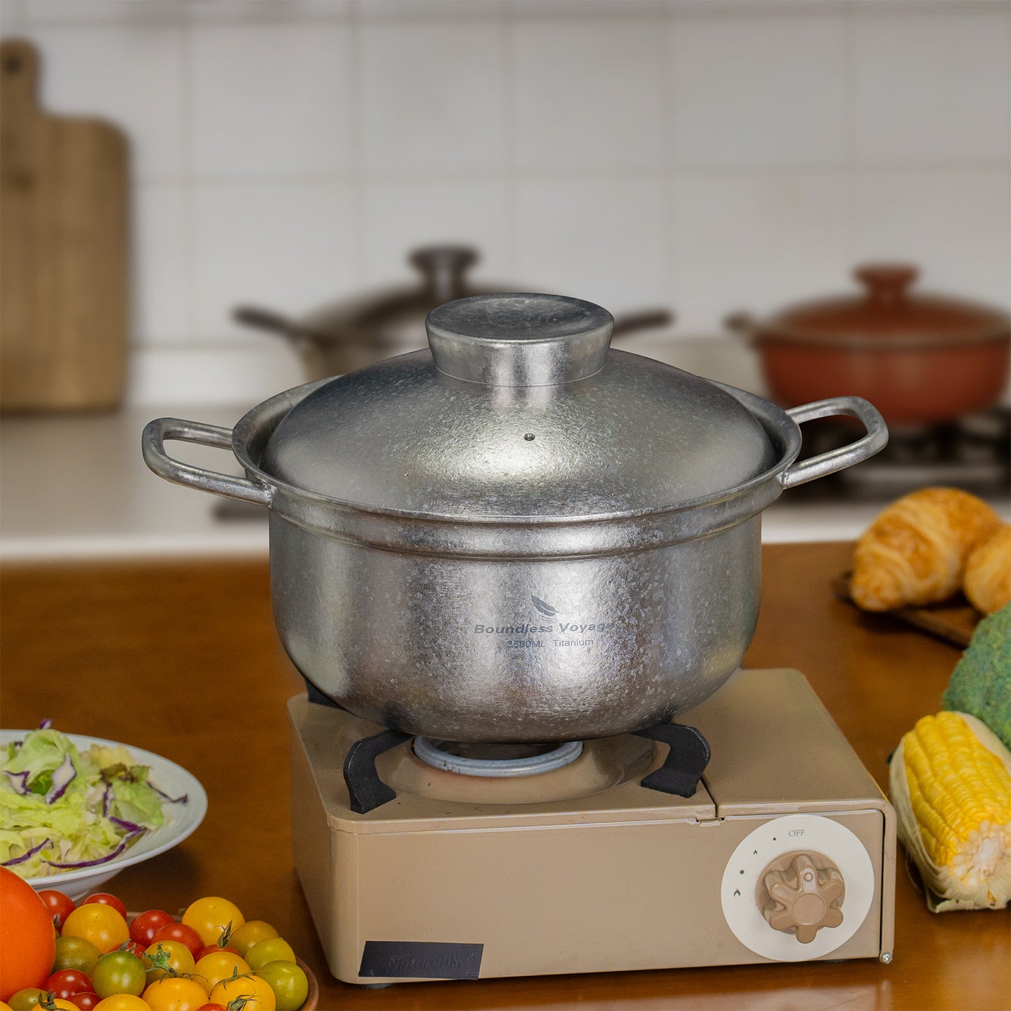 Boundless Voyage 3.5L Titanium Cooking Pot with Steam Vent Lid, 3mm Thick Crystalline Stovetop Pot for Home Kitchen Ti2116C