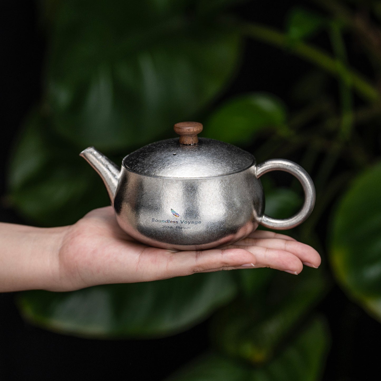 Boundless Voyage 260ml Titanium Teapot with Filter Travel Tea Kettle Durable Chinese Kung Fu Tea Set Ti3106D
