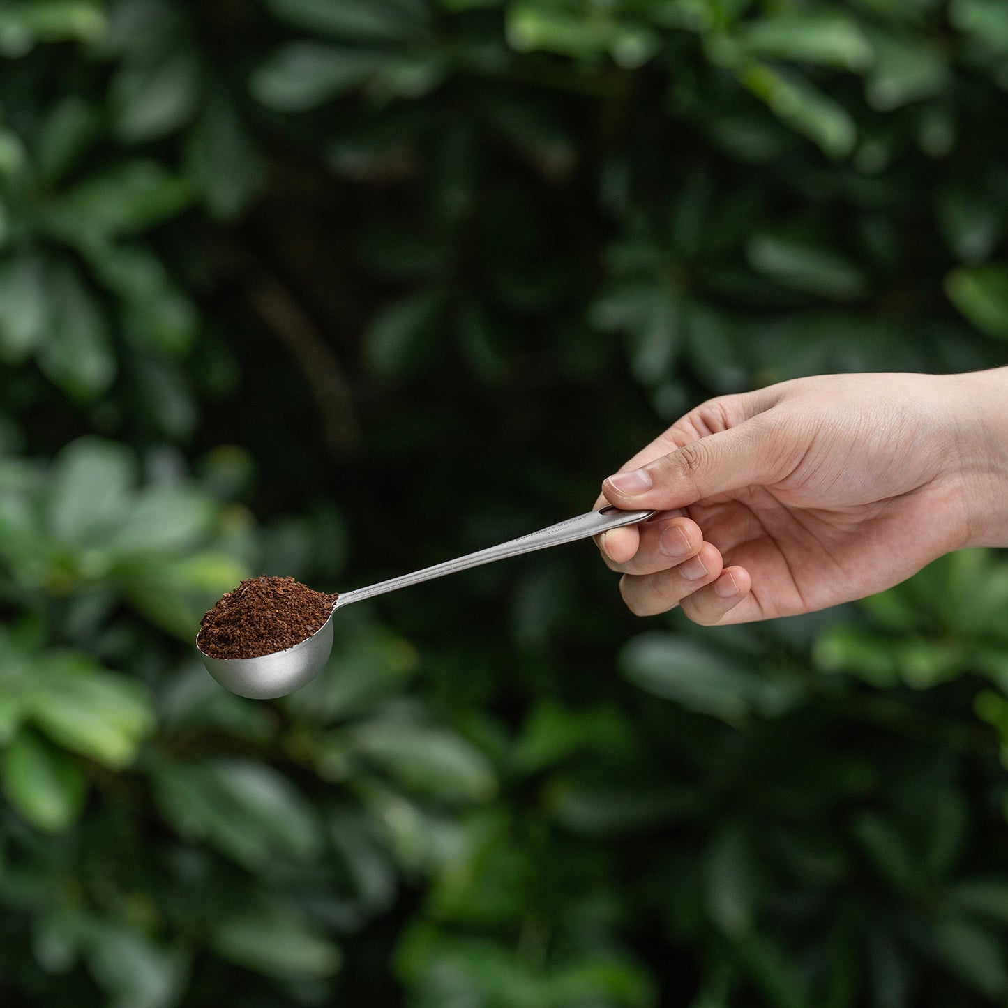 Boundless Voyage Titanium Coffee Scoop, Measuring Spoon for Ground Coffee & Coffee Beans, Multi-use Spoon for Ice Cream, Dessert, Tea & Sugar Ti1127T