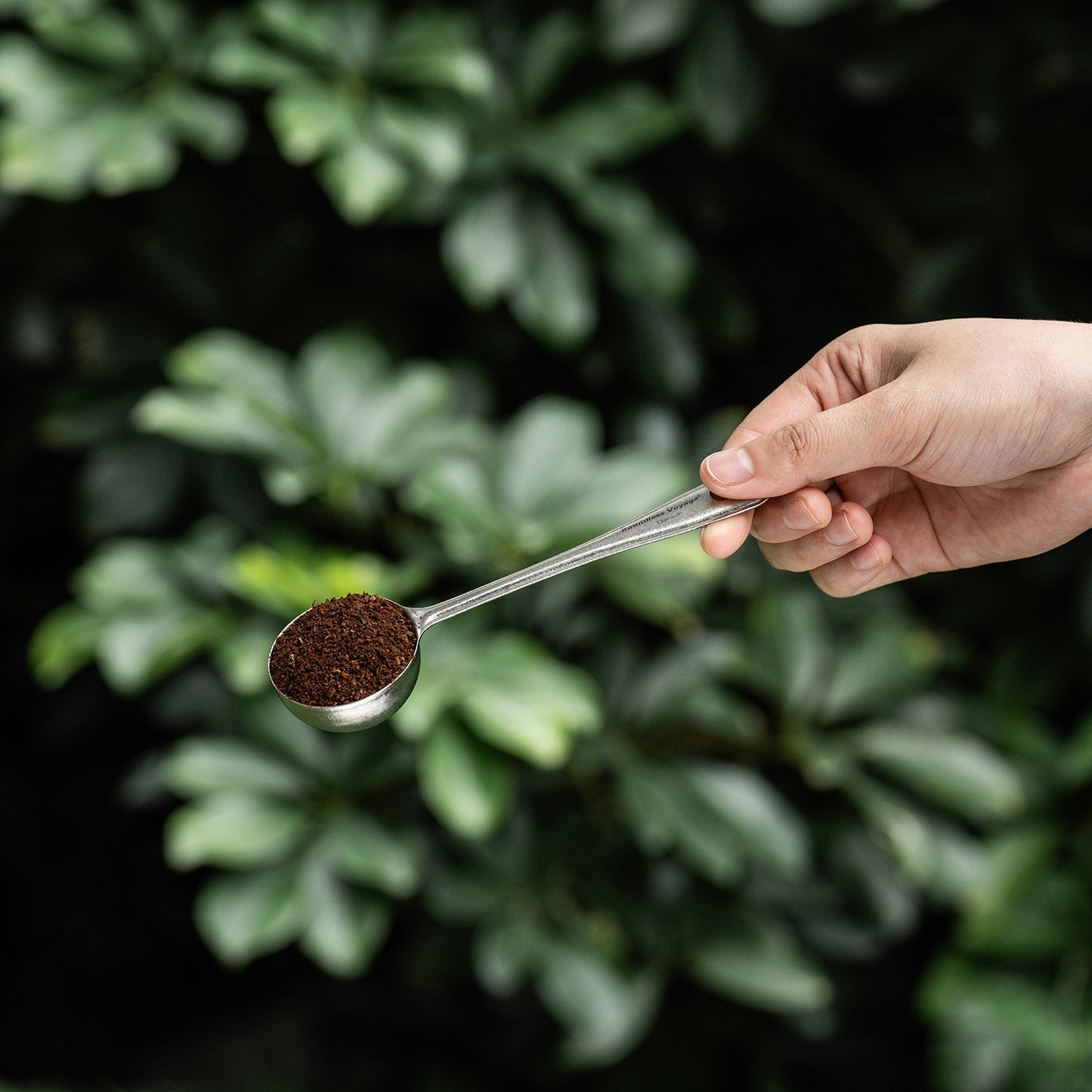 Boundless Voyage Titanium Coffee Scoop, Measuring Spoon for Ground Coffee & Coffee Beans, Multi-use Spoon for Ice Cream, Dessert, Tea & Sugar Ti1127T