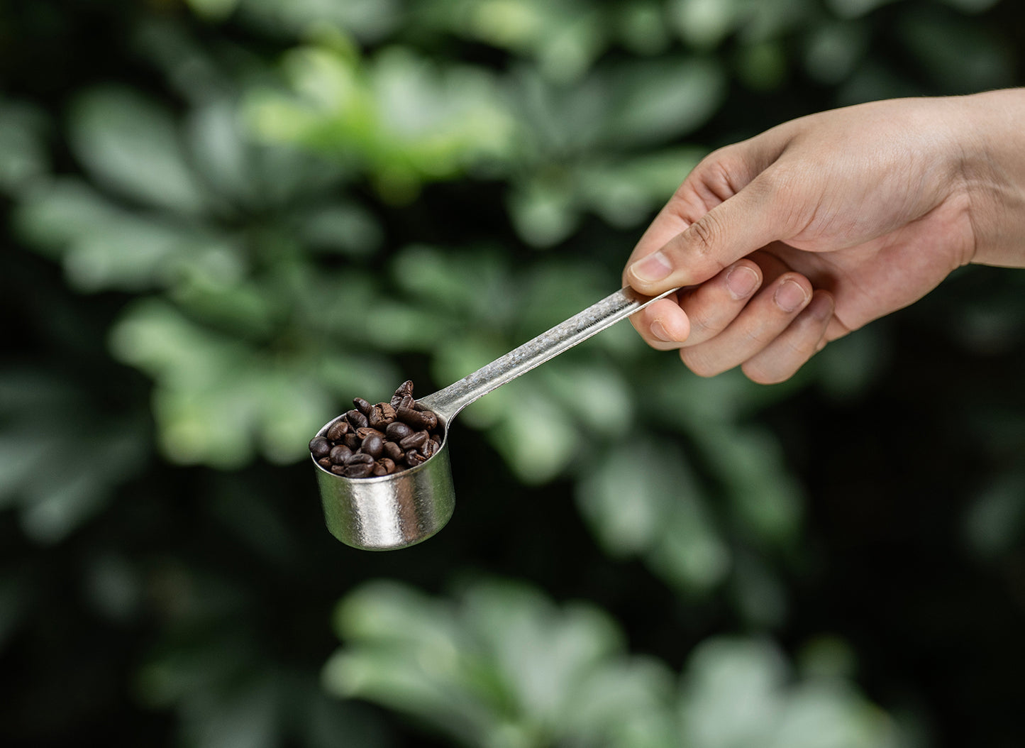 Boundless Voyage Titanium Coffee Scoop, Measuring Spoon for Ground Coffee & Coffee Beans, Multi-use Spoon for Ice Cream, Dessert, Tea & Sugar Ti1128T